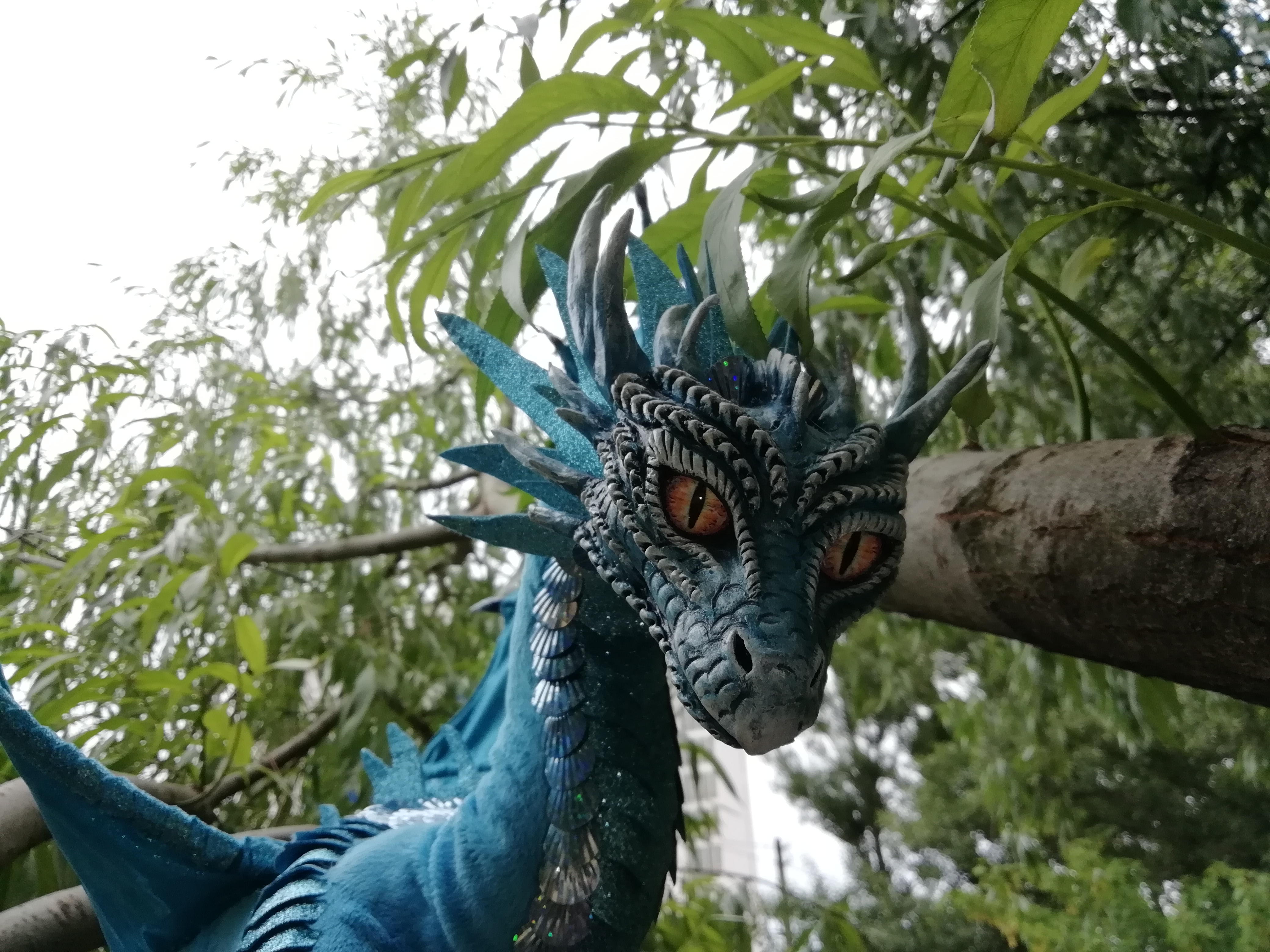 Лазоревый дракон