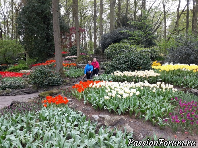 Голландия, слет, впечатления) Парк цветов.