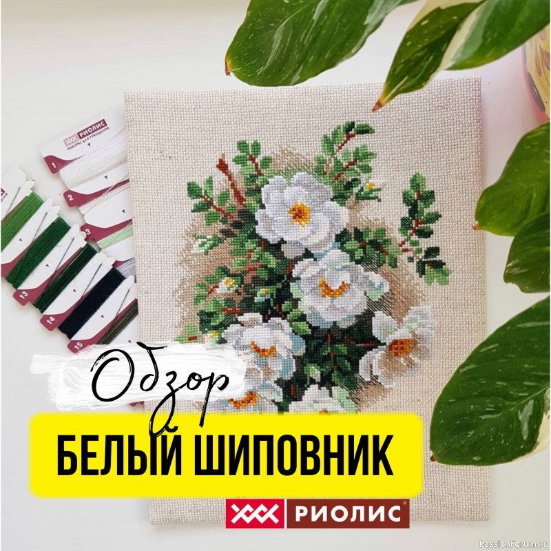 Обзор набора Шиповник