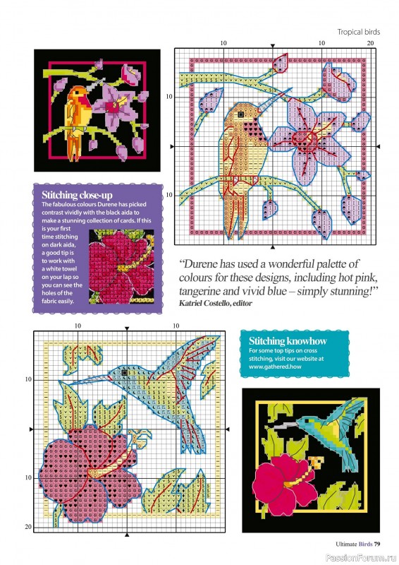 Коллекция вышивки в журнале «Cross Stitch Birds - March 2025»
