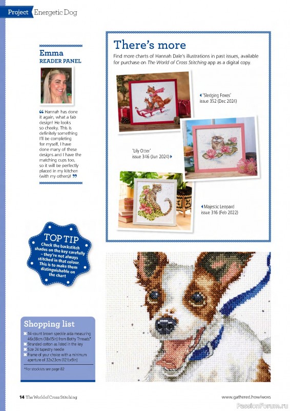 Коллекция вышивки в журнале «The World of Cross Stitching №359 2025»