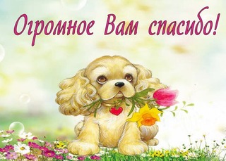 http://www.passionforum.ru/upload/179/u17946/001/d754dce5.jpg