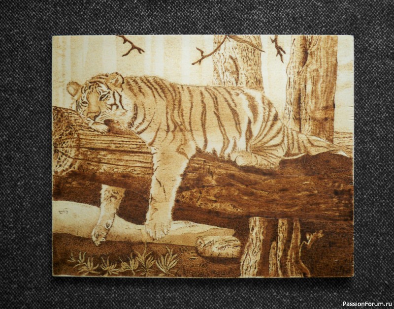 Пирография Тигр на одыхе