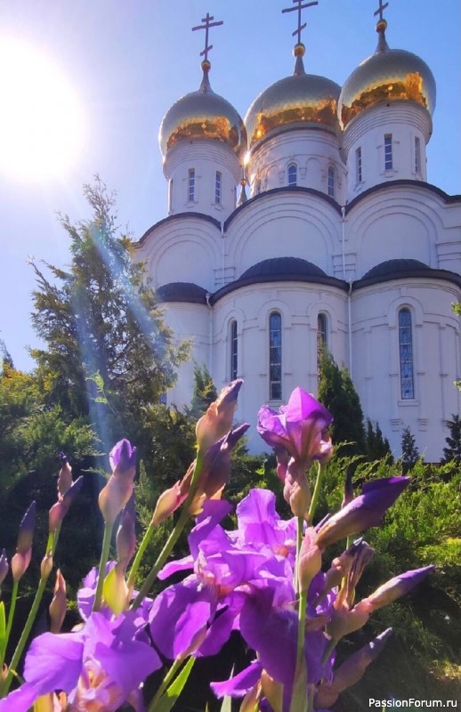 Благодарность за поздравления