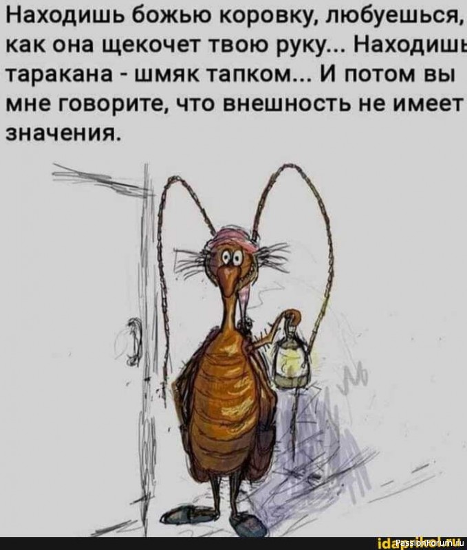 "Наполеон". М.Калимуллина