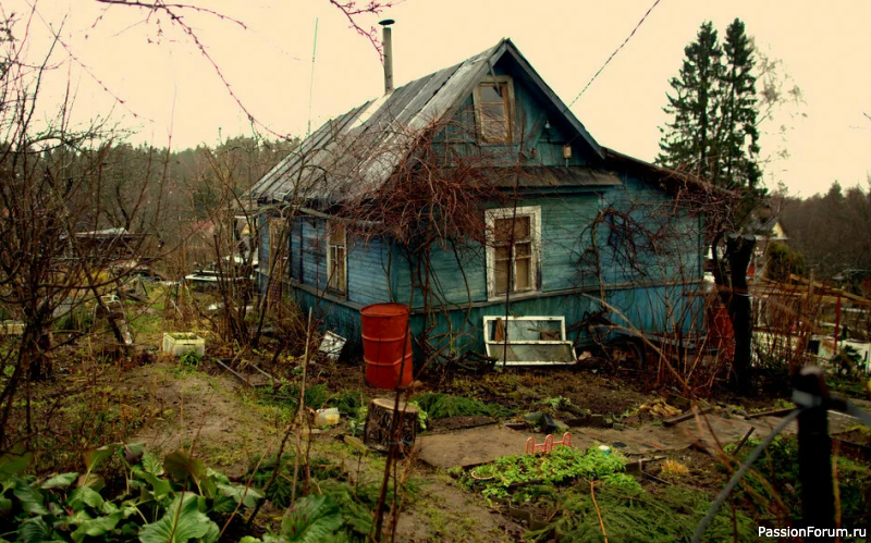 "Дача". С.Сэ