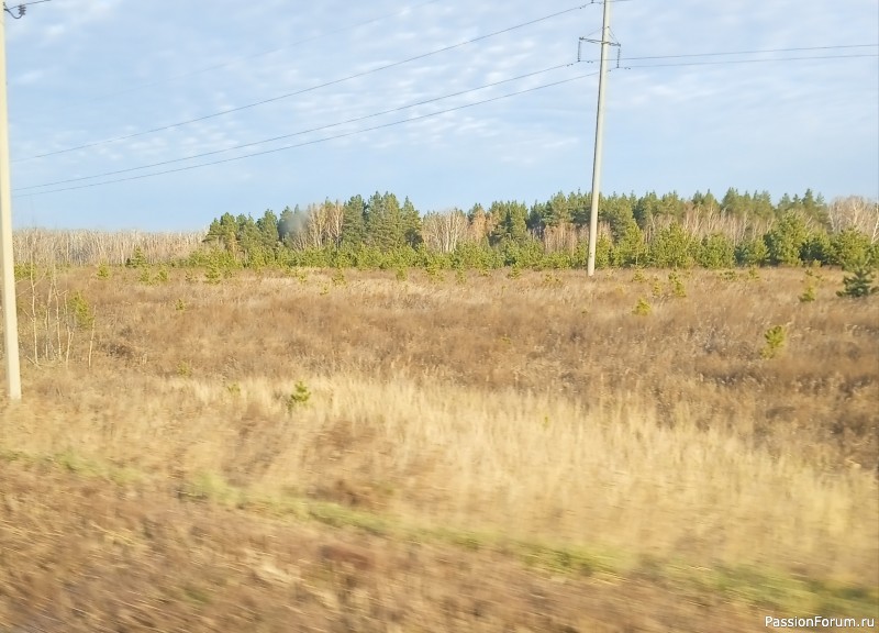 Фрау Марта
