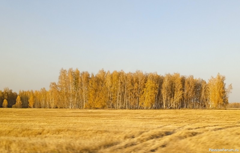 Фрау Марта