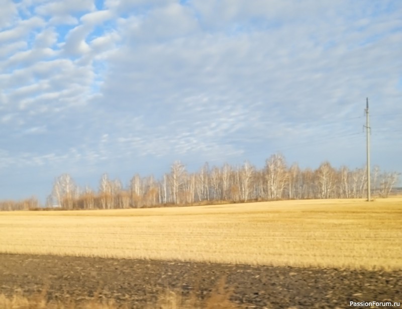 Фрау Марта