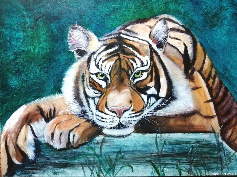 Тигр амурский, картина холст/масло 80х60.