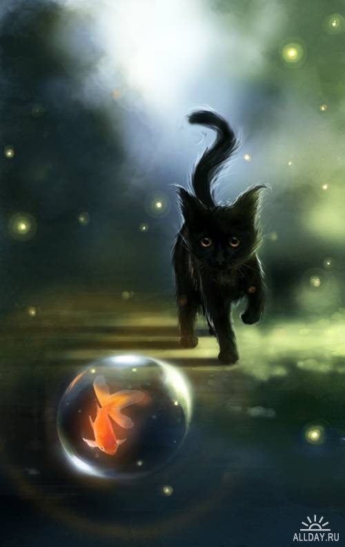 ещё немного кошек
