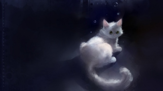 ещё немного кошек