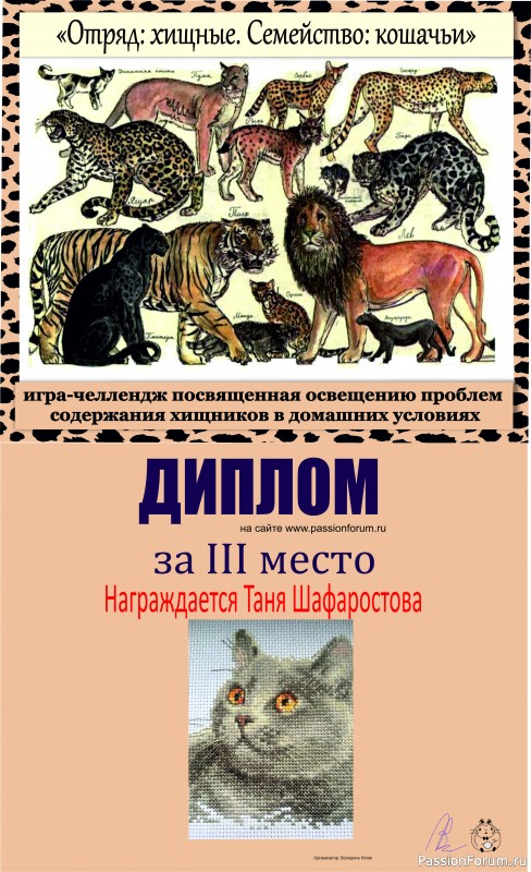 Конкурс-челлендж "Отряд: хищные. Семейство: кошачьи". ИТОГИ!