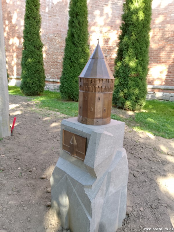 Совместник-поездка в Смоленск.