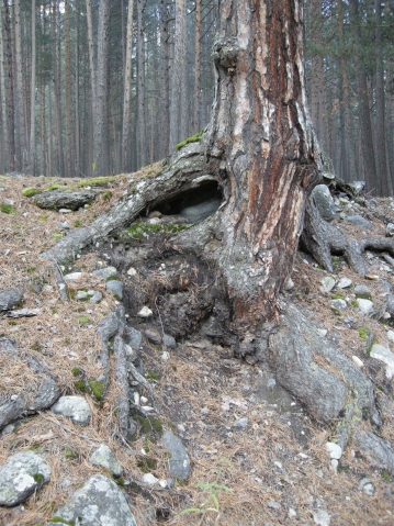 Приэльбрусье. Часть 1.