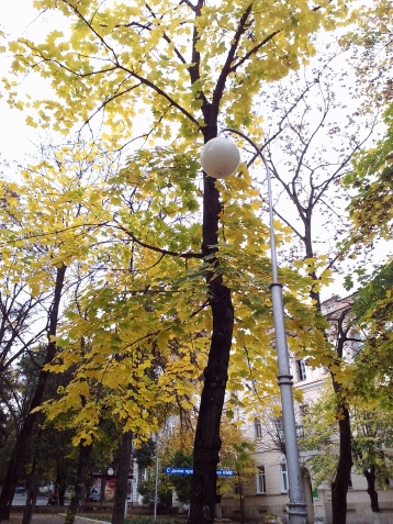 Прогулка по осеннему городу