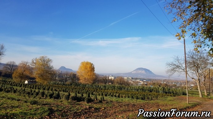 Прогулки на природе. часть 3 - Перкальский питомник