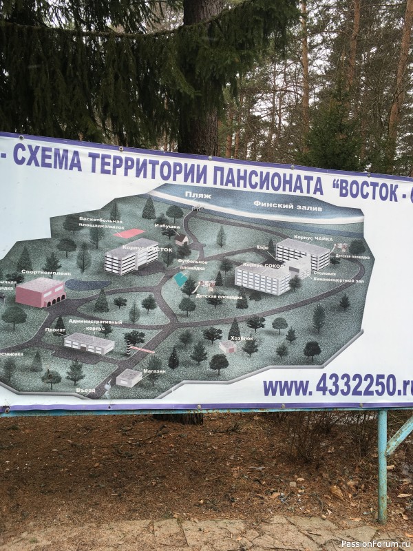 День рождения и Восток 6