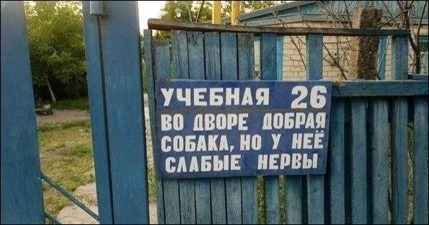 Неделя должна начинаться с позитива!