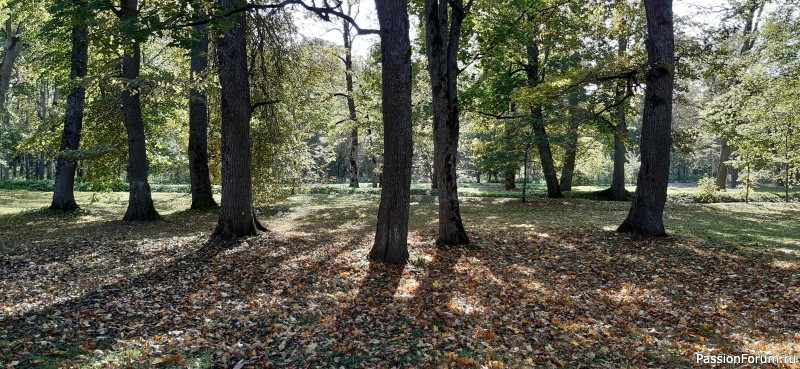 Фотозарисовки "Краски Эстонской природы"