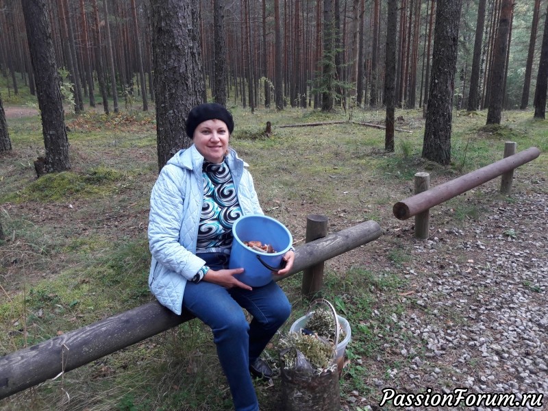 И снова осень ..У нас опять грибной сезон!! Или.... Ура дождались мы грибалки!!!