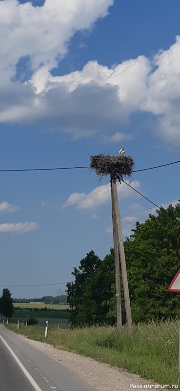 Фотозарисовки "Краски Эстонской природы"