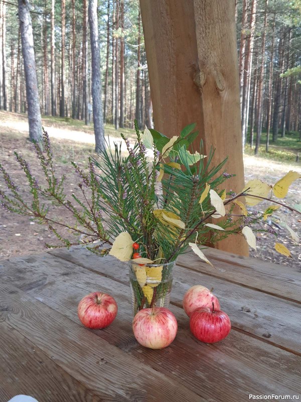 Фотозарисовки "Краски Эстонской природы"