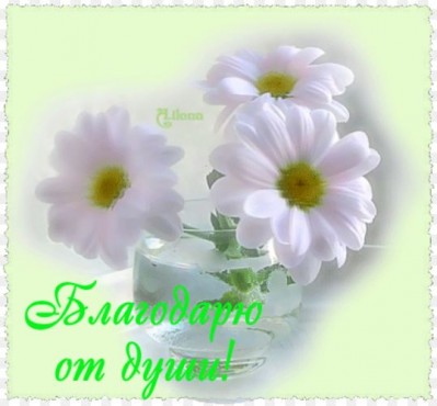 http://www.passionforum.ru/upload/041/u4107/024/bf863efb.jpg