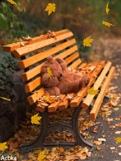 Красотка осень - фото из интернета
