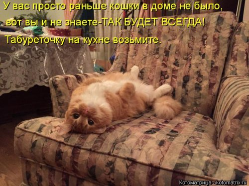 Очередная котоматрица