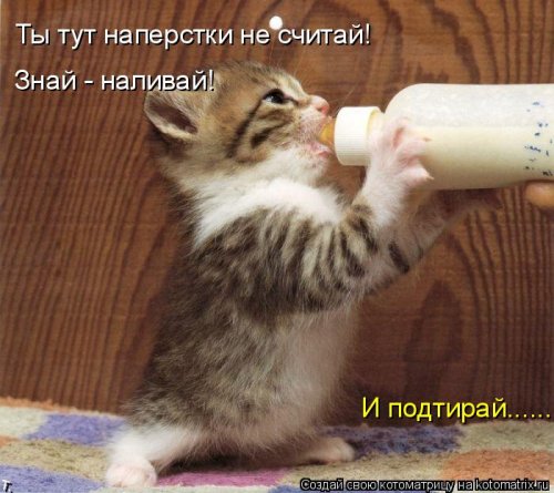 Очередная котоматрица