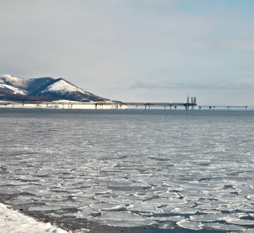 Сахалинский январь. Морская прогулка.