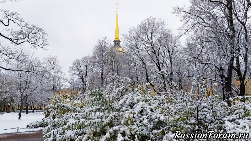 Первый снег