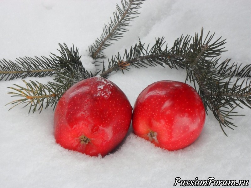 Новое реальное знакомство