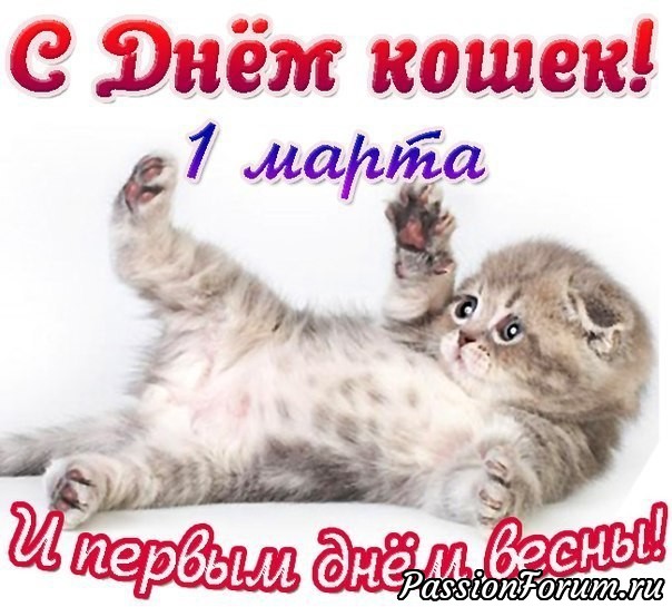 Как мне Котик помогал...