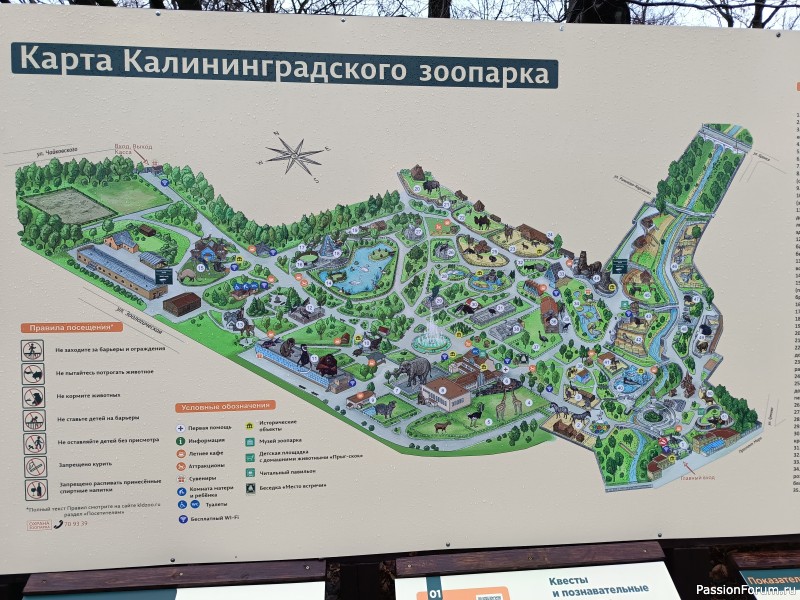 Новогоднее путешествие в Калининграде