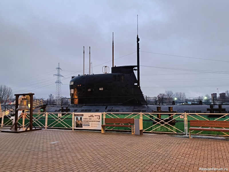 Новогоднее путешествие в Калининграде