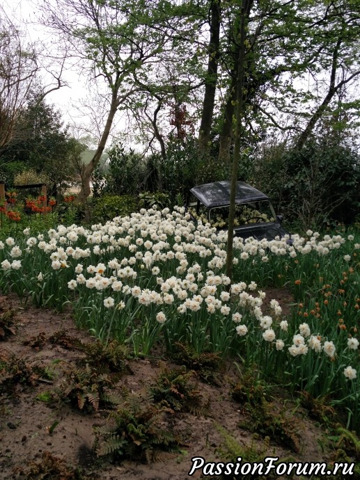 Парк цветов keukenhof это не только тюльпаны. Продолжение. Ландшафтные уголки и другие цветы