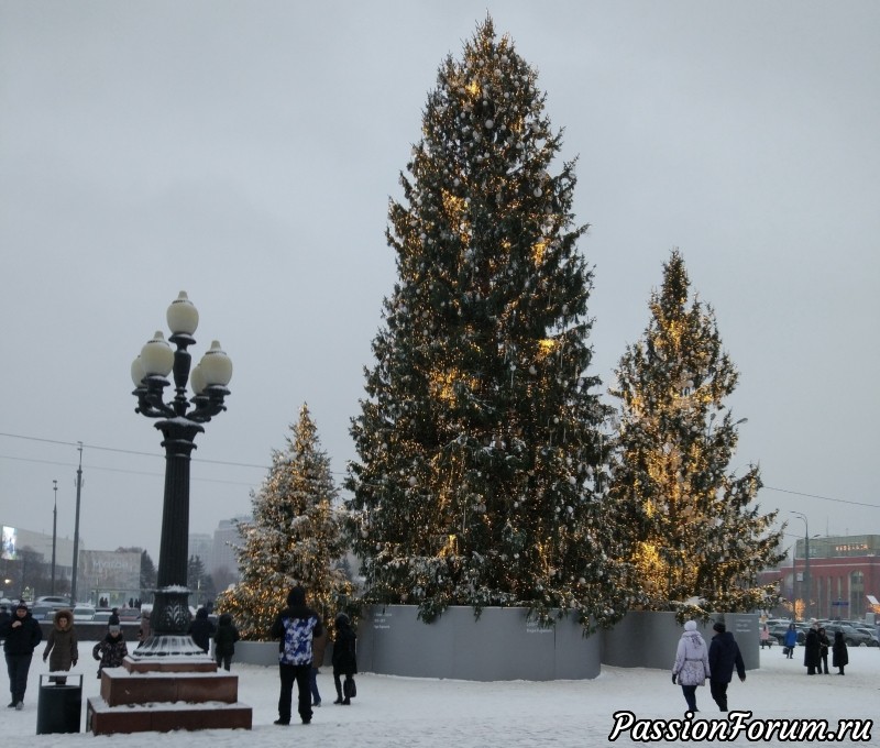 Новогодние каникулы