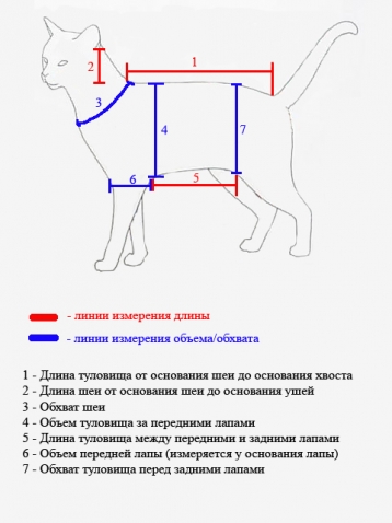 жилетку для кошки