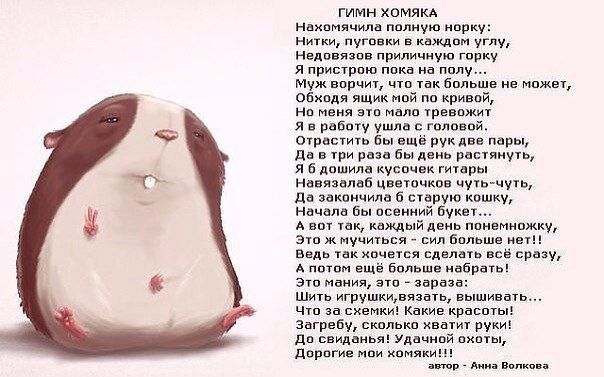 Хомякам посвящается.