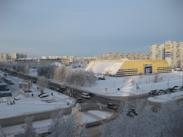 Белая берёза под моим окном...