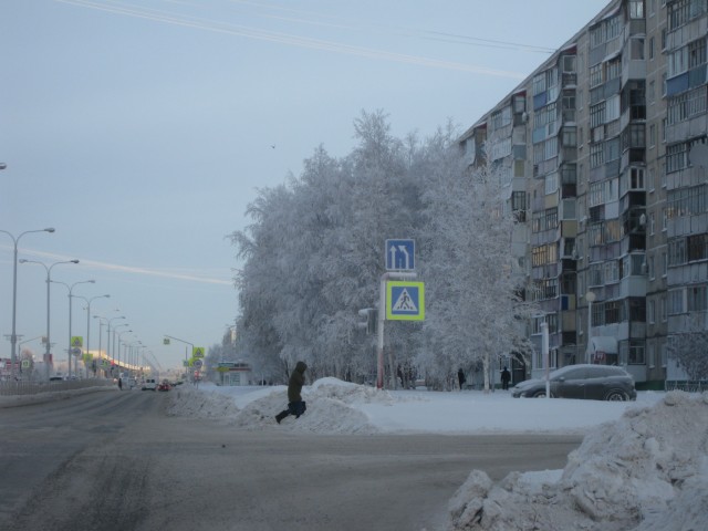 Белая берёза под моим окном...