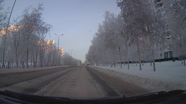 Белая берёза под моим окном...