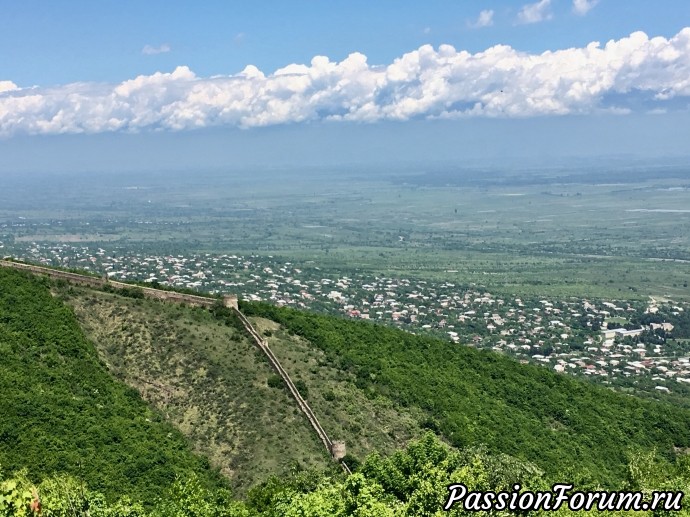 Алазанская долина, Грузия