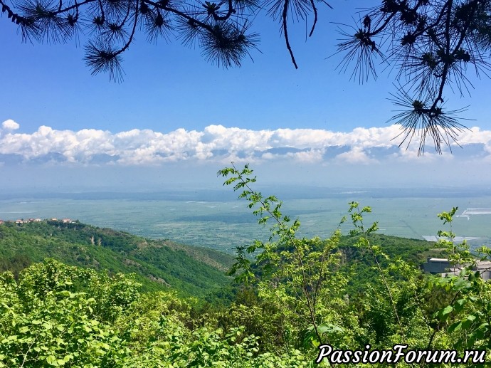 Алазанская долина, Грузия