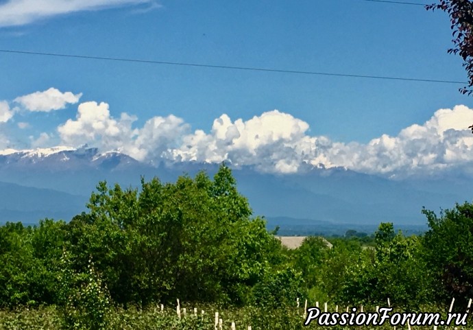 Алазанская долина, Грузия