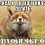 Ольга ()