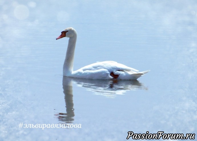 Мои фото эксперименты продолжаются.