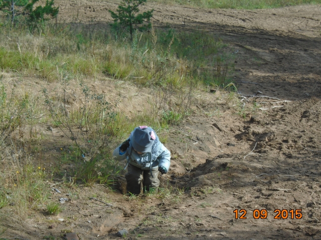 Снова о погоде, природе, ручье и чуть-чуть о грибах....